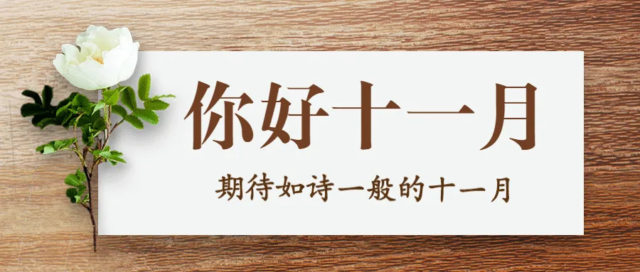 十一月你好