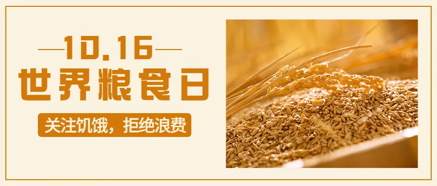 世界粮食日