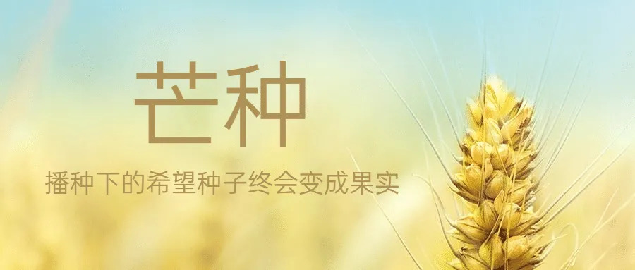 芒种